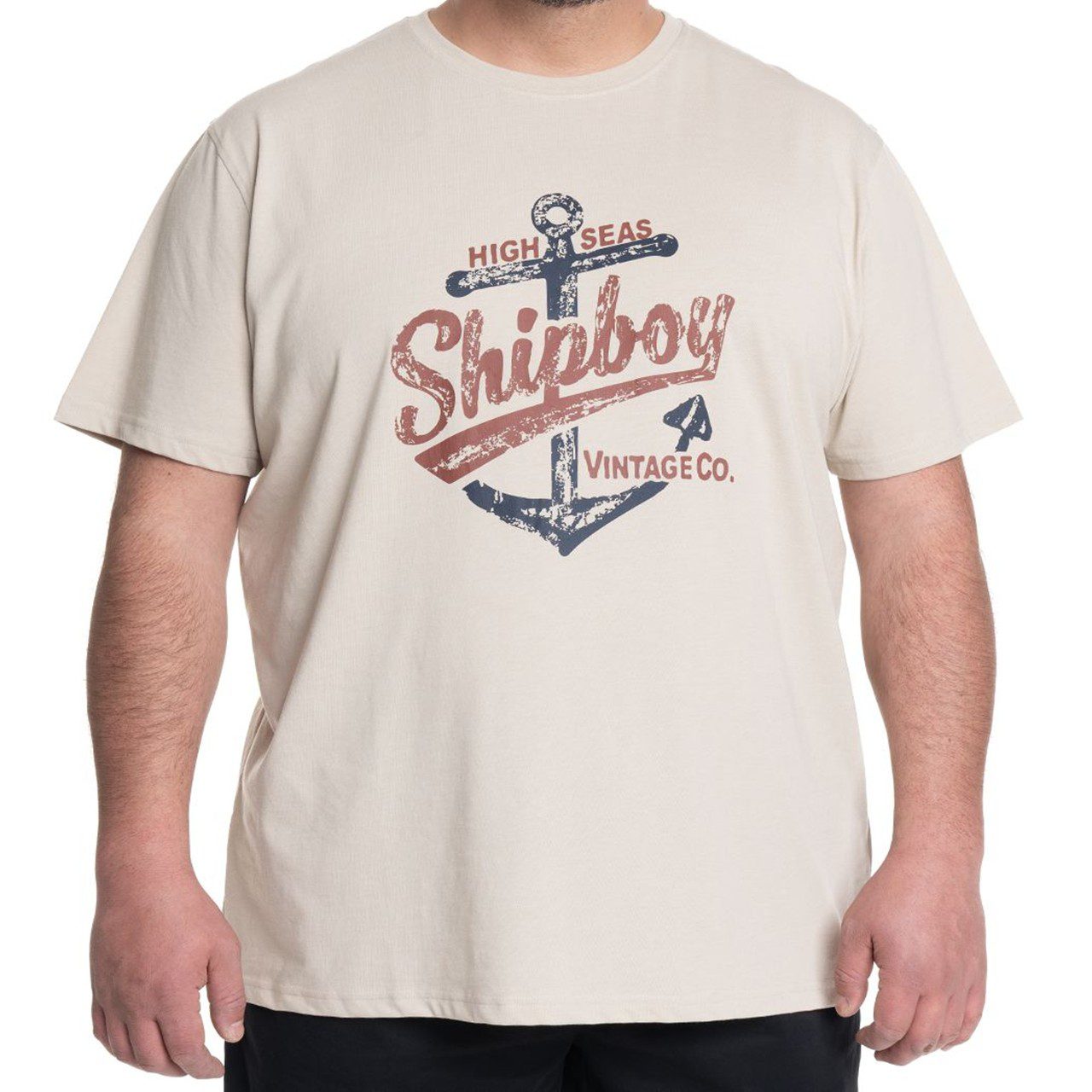 Polera print frontal beige Polera Estampada Frontal 3, 4, 5 y 6XL Beige - Imagen 1