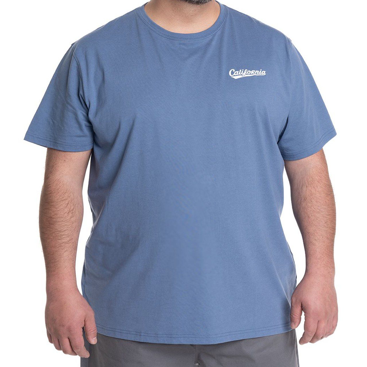 polera print espalda celeste 3 Polera Estampada Espalda 2, 3, 4 y 6XL Celeste - Imagen 1