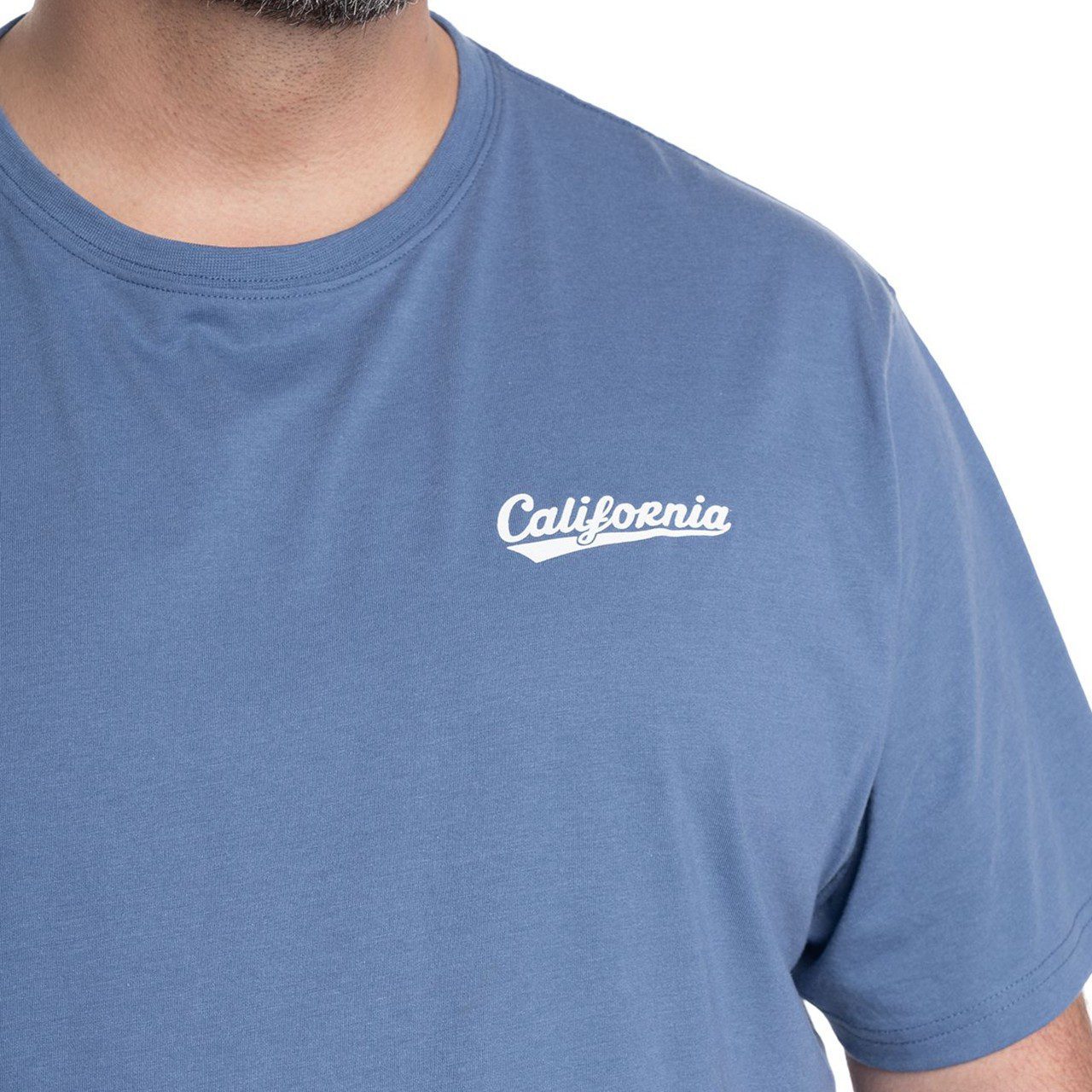 polera print espalda celeste Polera Estampada Espalda 2, 3, 4 y 6XL Celeste - Imagen 4